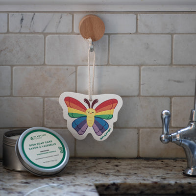 Rainbow Flutter - Pop up Sponge-3