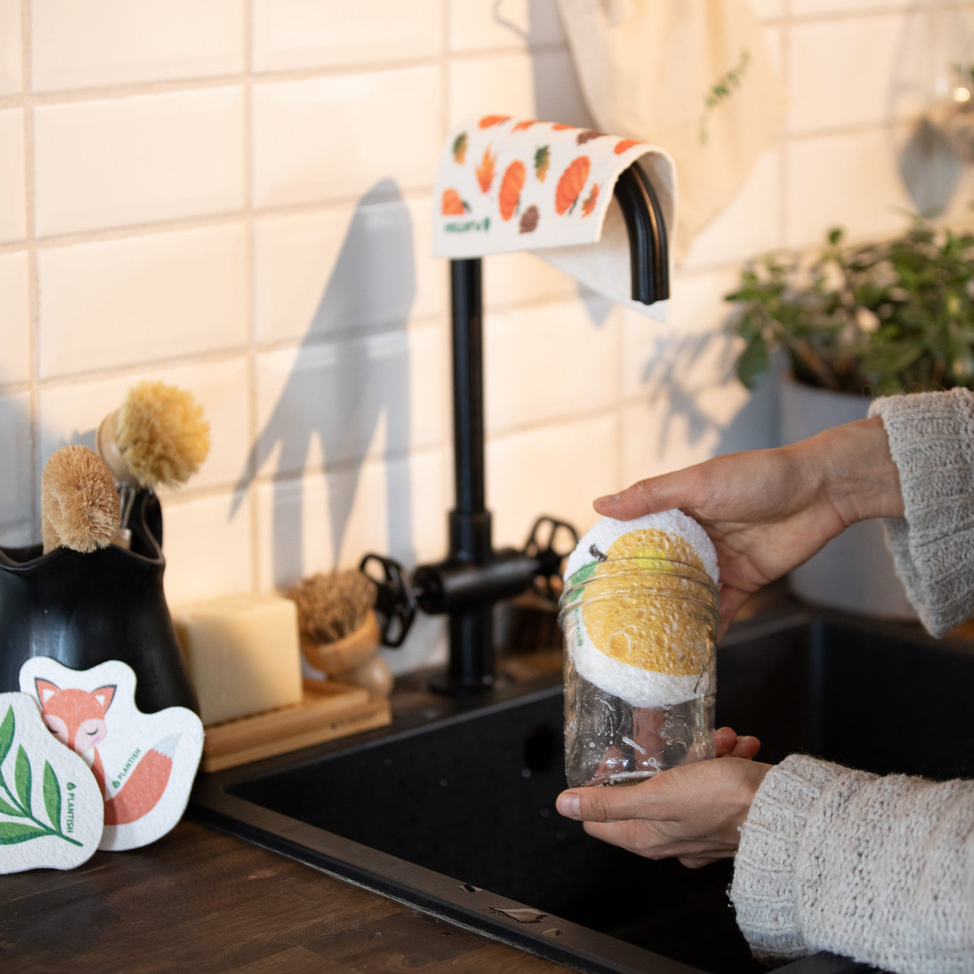 Set of 3 Bestselling Pop up Sponges + Hook-3