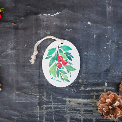 Christmas Berry - Pop up Sponge (Holiday Exclusive)-3