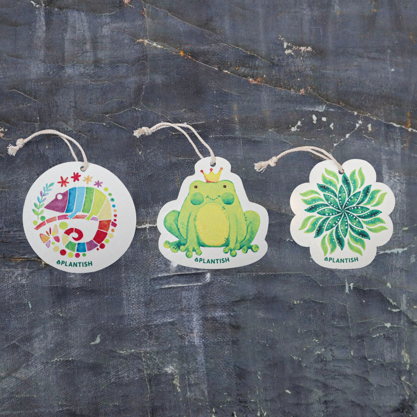 Frog - Pop up Sponge (Holiday Exclusive)-3