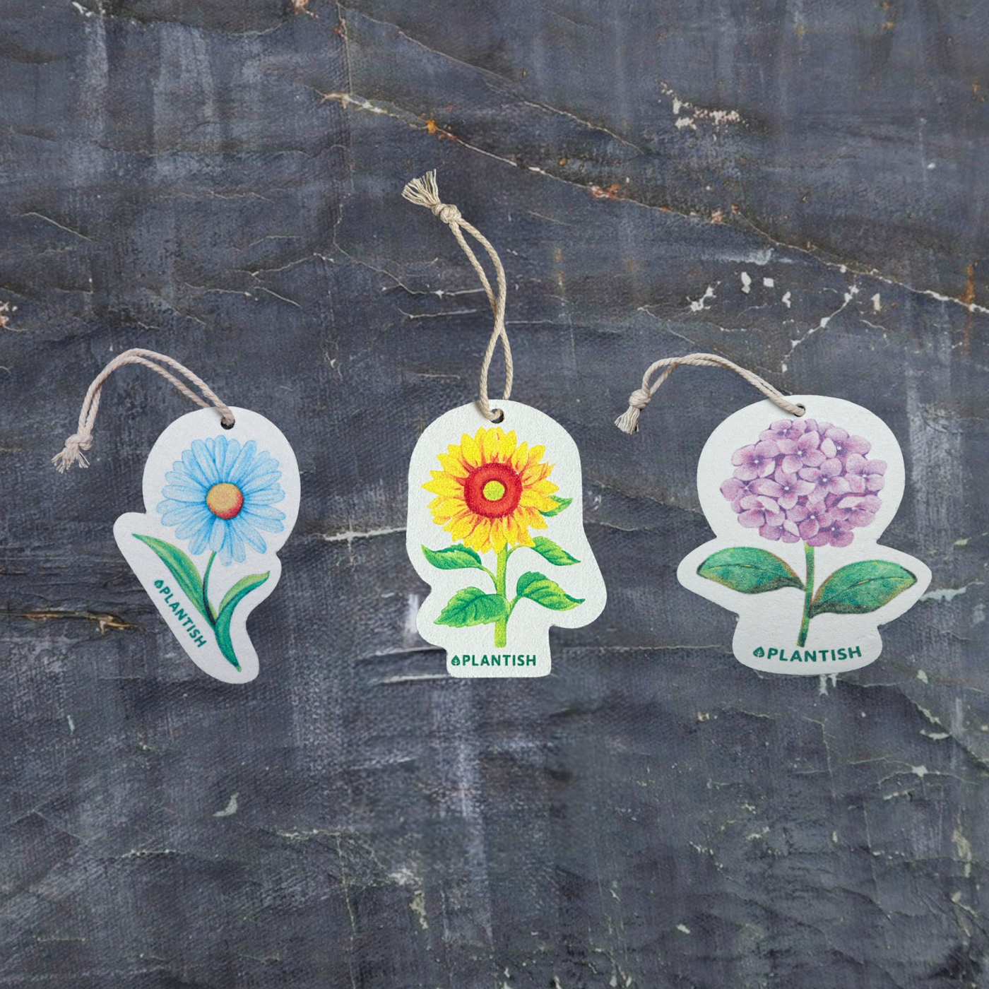 Set of 3 Garden Party Pop up Sponges (Holiday Exclusive)-0