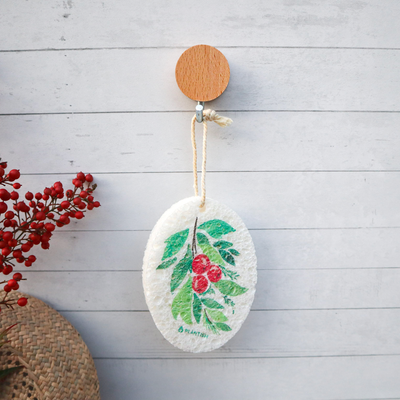 Christmas Berry - Pop up Sponge (Holiday Exclusive)-4