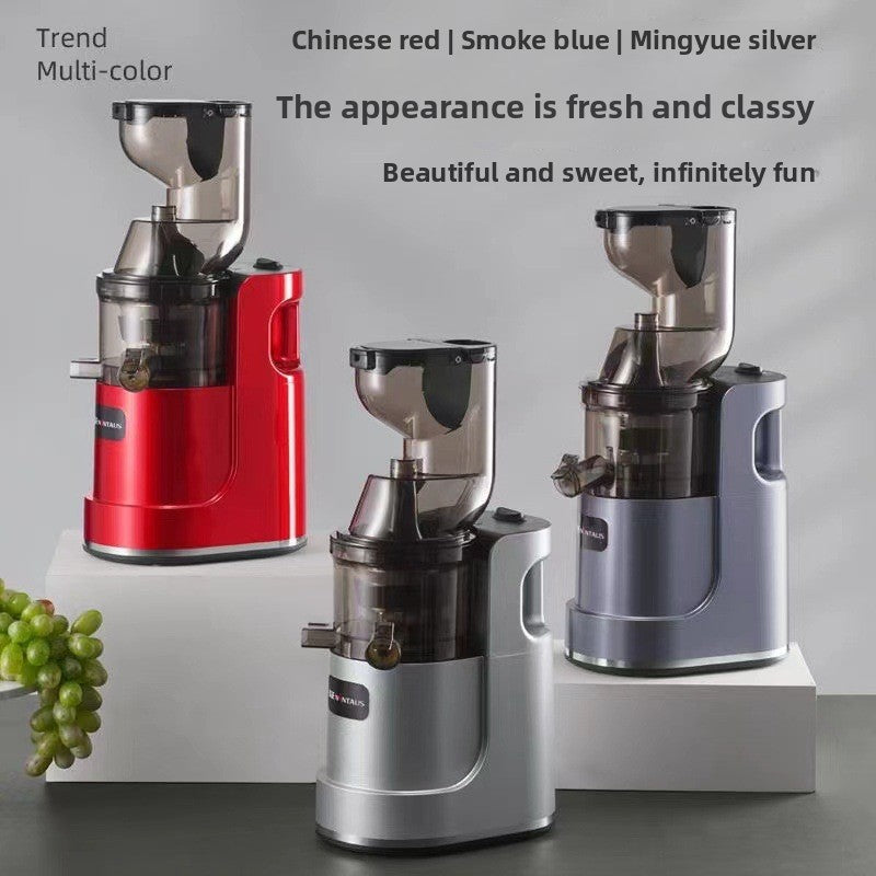 stainless steel new prostainless steel new product juicerduct juicer