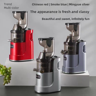 stainless steel new prostainless steel new product juicerduct juicer
