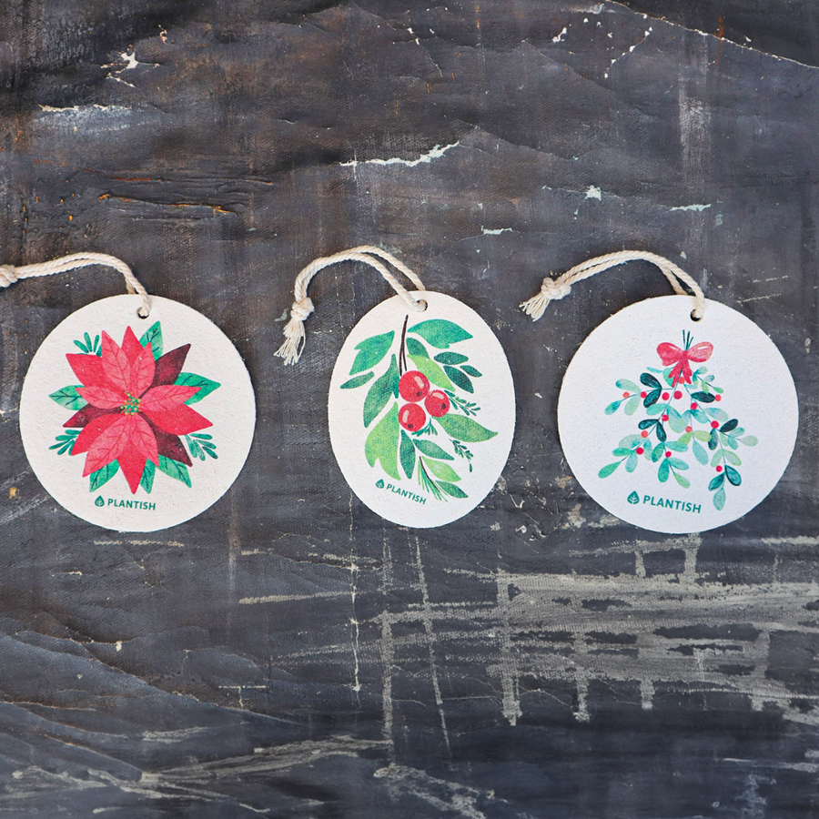 Poinsettia - Pop Up Sponge (Holiday Exclusive)-3