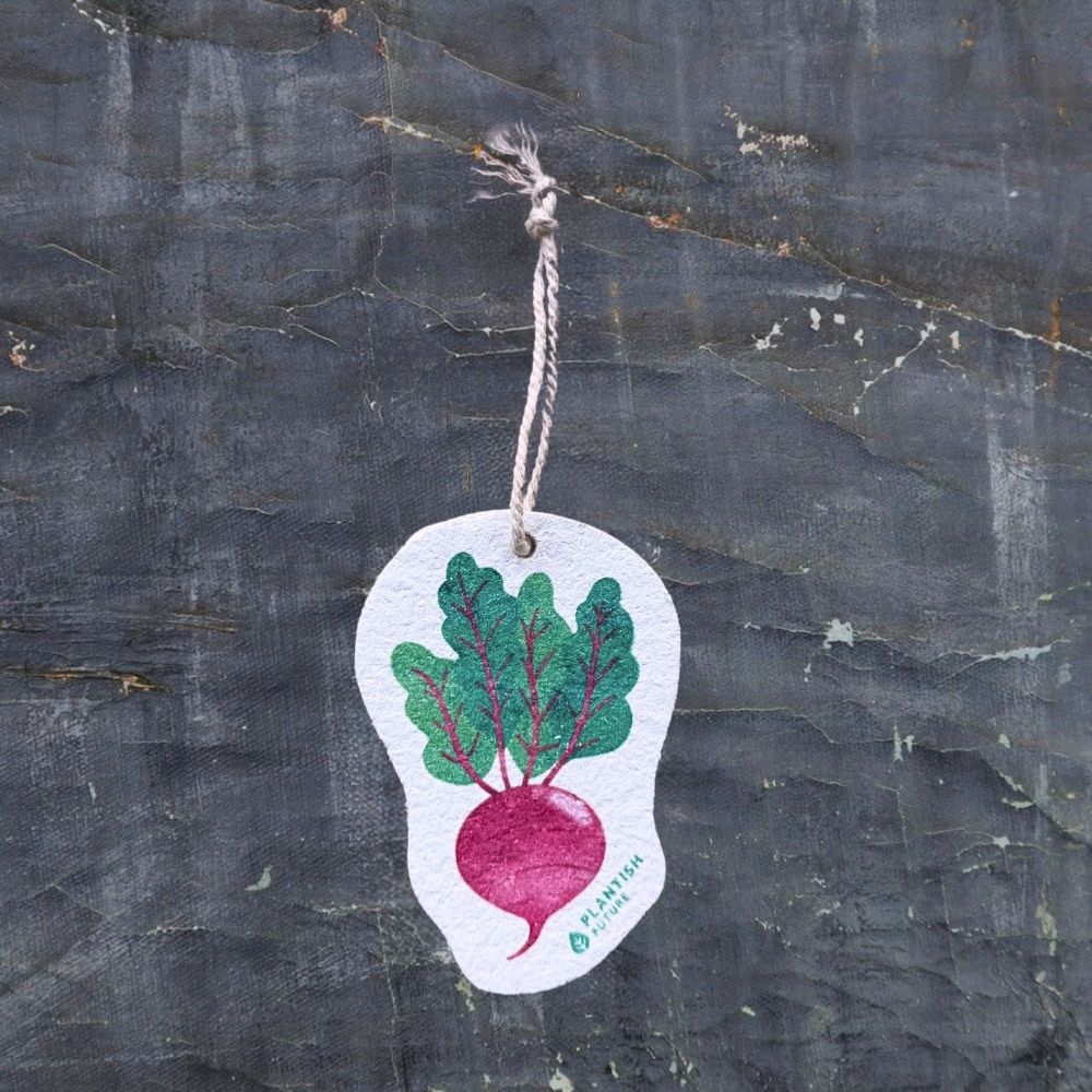 Beet Green - Pop Up Sponge-0