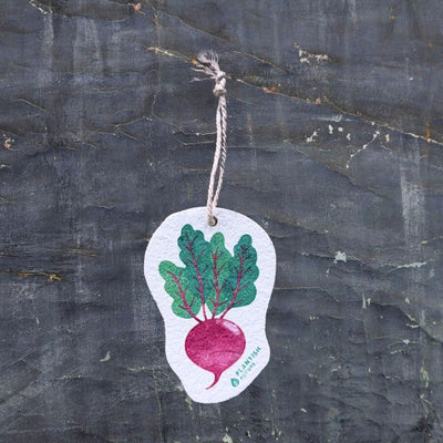 Beet Green - Pop Up Sponge-0