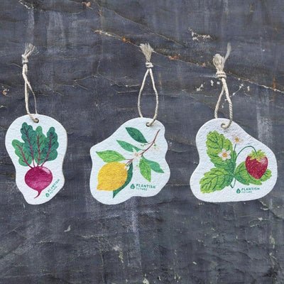 Lemon Grove - Pop Up Sponge-1