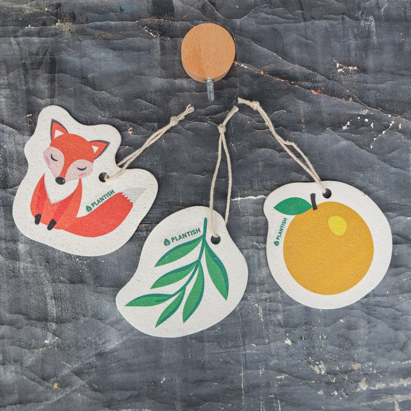 Set of 3 Bestselling Pop up Sponges + Hook-2