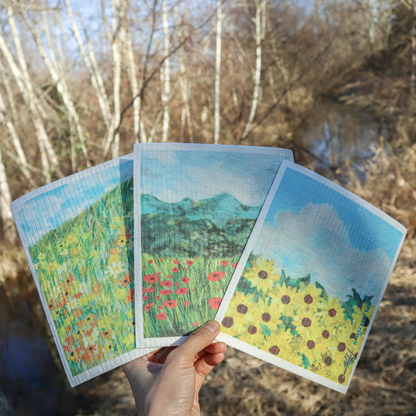 12-Month Supply of Swedish Sponge Cloths-3