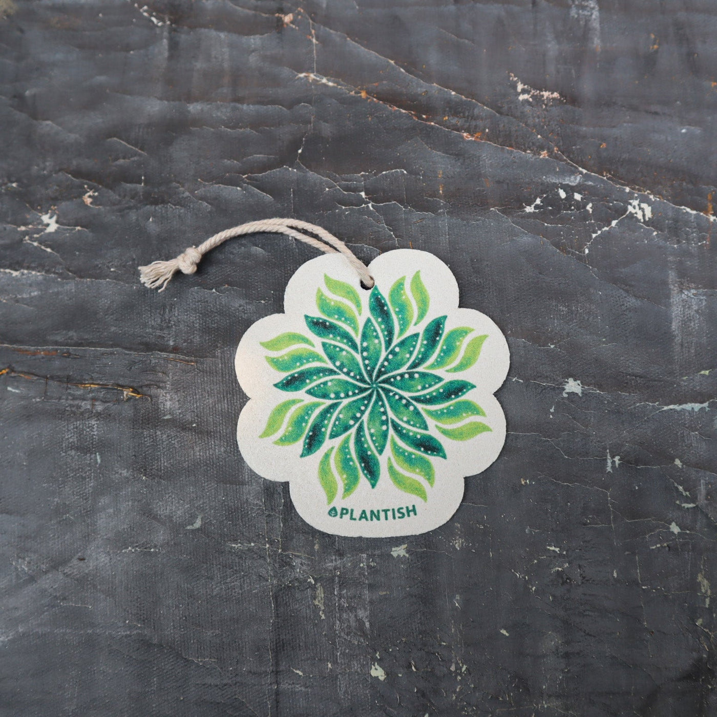 Leaf - Pop up Sponge (Holiday Exclusive)-0