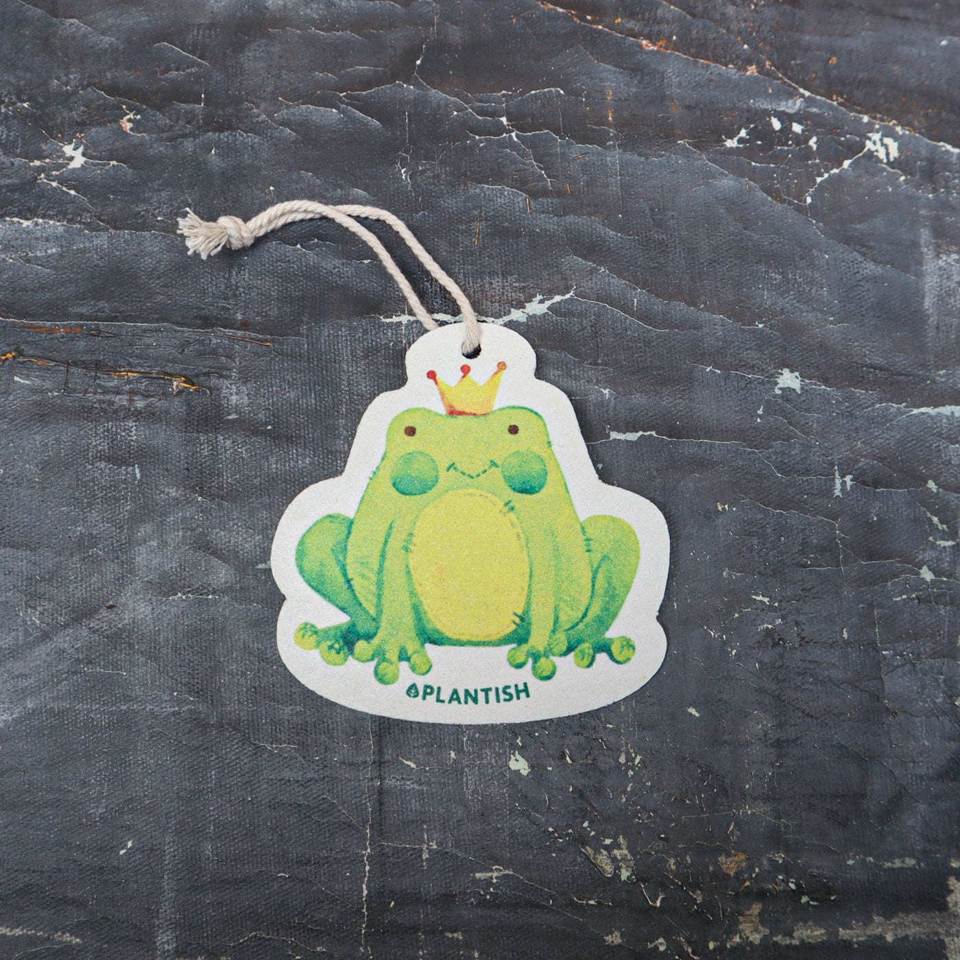 Frog - Pop up Sponge (Holiday Exclusive)-0