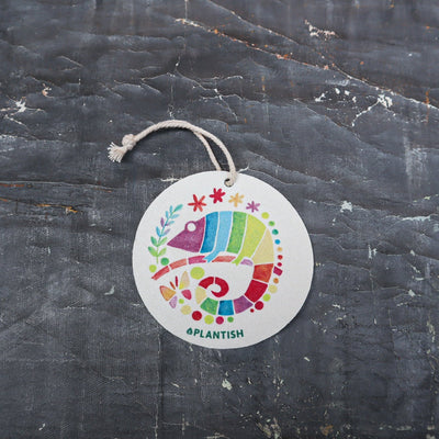 Chameleon - Pop up Sponge (Holiday Exclusive)-0