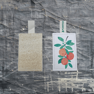 Orange - NEW Eco Sponge-1