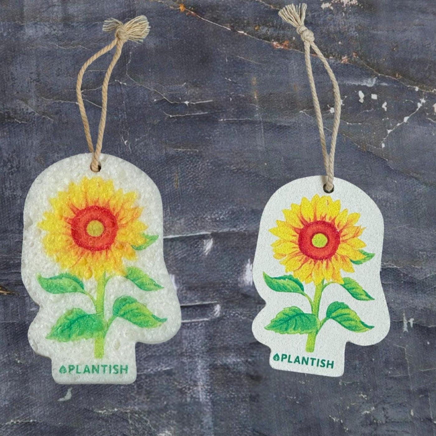 Sunflower - Pop up Sponge-2