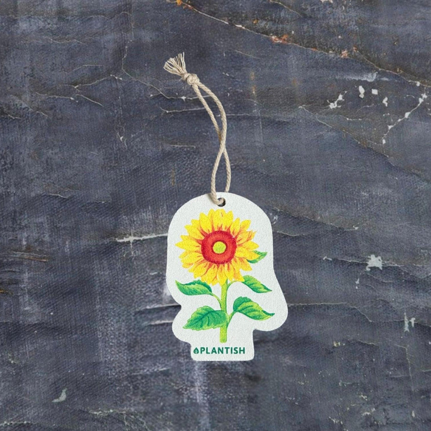 Sunflower - Pop up Sponge-0