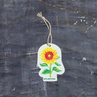 Sunflower - Pop up Sponge-0